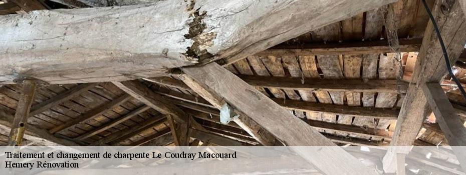 Traitement et changement de charpente  le-coudray-macouard-49260 Hemery Rénovation 