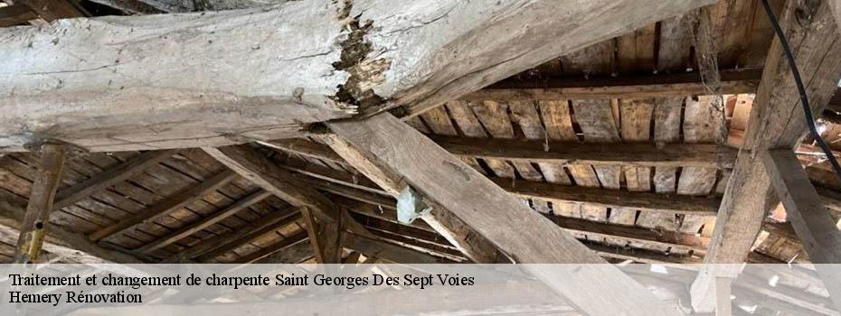 Traitement et changement de charpente  saint-georges-des-sept-voies-49350 Hemery Rénovation 