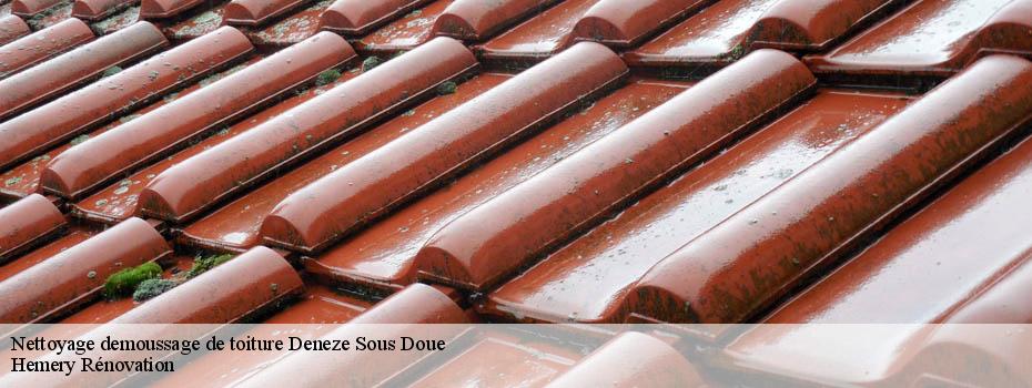 Nettoyage demoussage de toiture  deneze-sous-doue-49700 Hemery Rénovation 