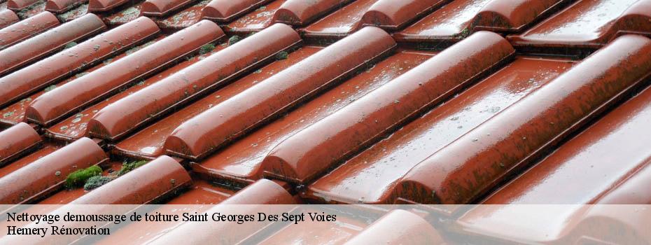 Nettoyage demoussage de toiture  saint-georges-des-sept-voies-49350 Hemery Rénovation 